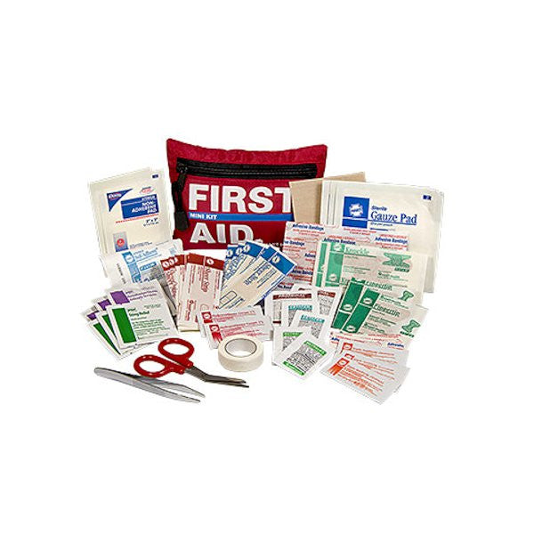 First Aid Mini-Kit